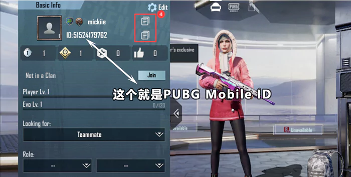 PUBG Mobile ID 在哪里查看？