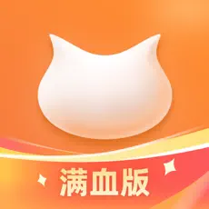 飞猫盘 会员 月度会员