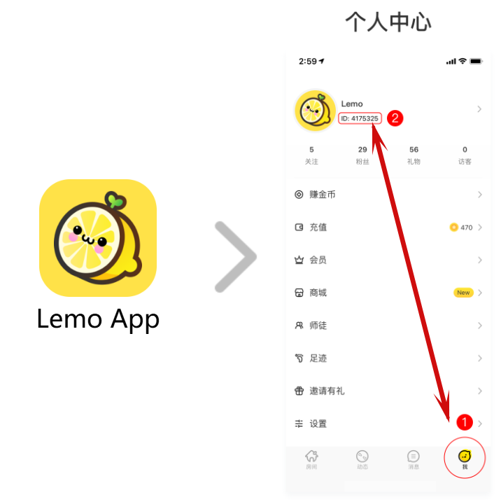 如何查找 Lemo ID？